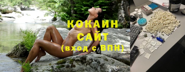 дмт Анива