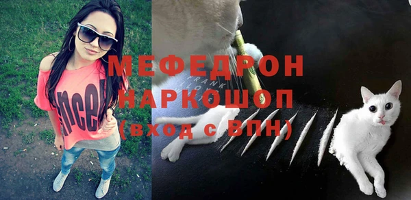 ПСИЛОЦИБИНОВЫЕ ГРИБЫ Михайлов