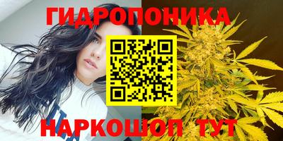 хмурый Балашиха