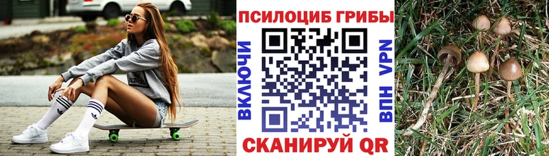 Галлюциногенные грибы Psilocybe  Подольск 
