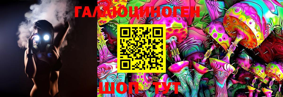 Галлюциногенные грибы Psilocybe  Псилоцибиновые грибы MAGIC MUSHROOMS  Подольск 