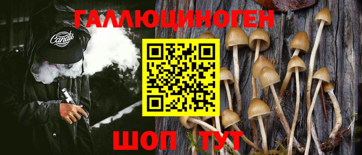 Галлюциногенные грибы GOLDEN TEACHER Подольск