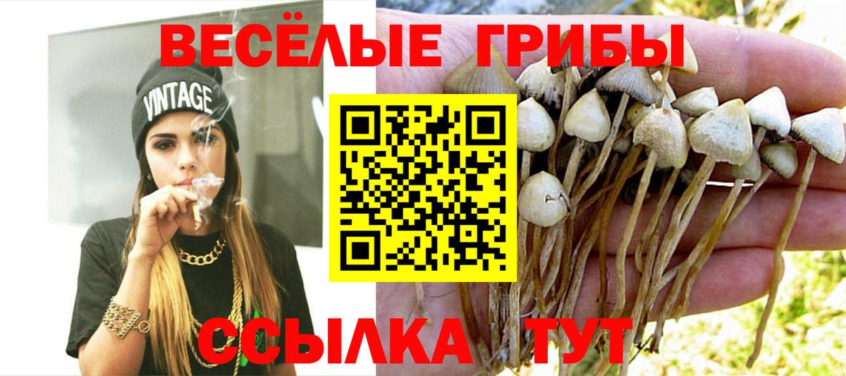 Галлюциногенные грибы мицелий Подольск