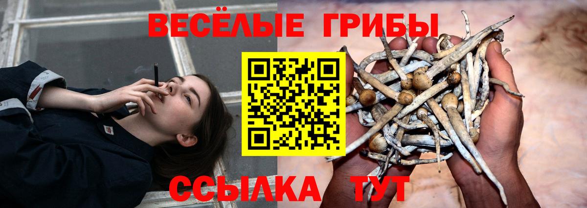 Псилоцибиновые грибы прущие грибы  Вход с VPN  Подольск 